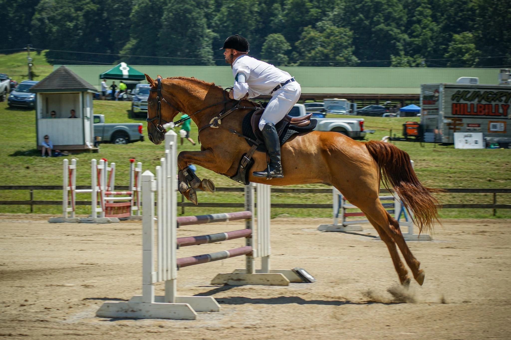 Equestrian jumping over a hurdle at a competition.