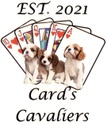 Card’s Cavalier King Charles