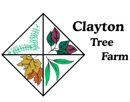 Clayton 
     Tree 
             Farm