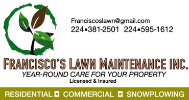Francisco's Lawn