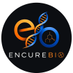 Encure Biotherapeutics