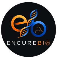 Encure Biotherapeutics
