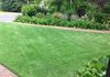 Weekly Manicured Lawn
