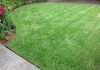 Weekly Manicured Lawn