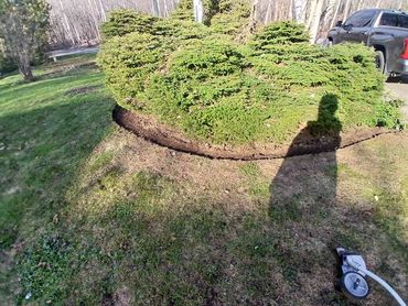 garden edging service sault ste marie clean landscape edging defined garden bed