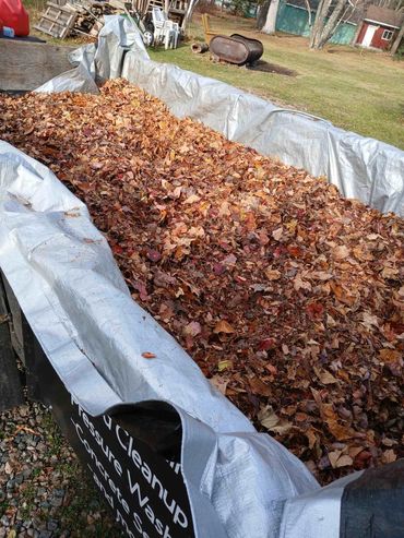 fall yard cleanup sault ste marie leaf removal trailer full leaves property cleanup