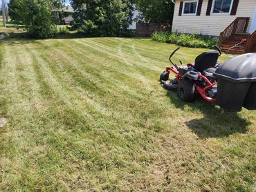 lawn mowing service sault ste marie overgrown lawn cut clean striped grass professional
