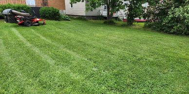 Freshly cut front yard from superior Curb Appeal 