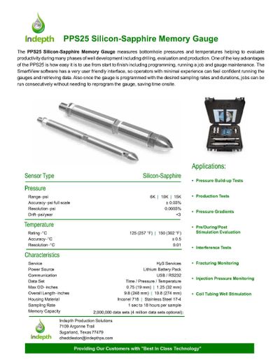 Indepth Production Solutions - BHP Gauges & Indepth Well Performance Surface Monitors