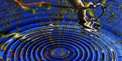 A water drop on the surface of water, creating ripples and reflecting the image of trees