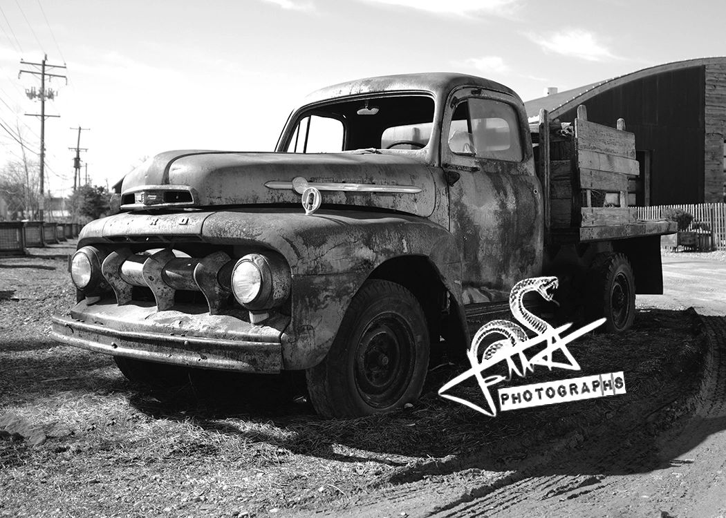 Talbot Photographs - Photographic Art, Talbot Photographs, Photography