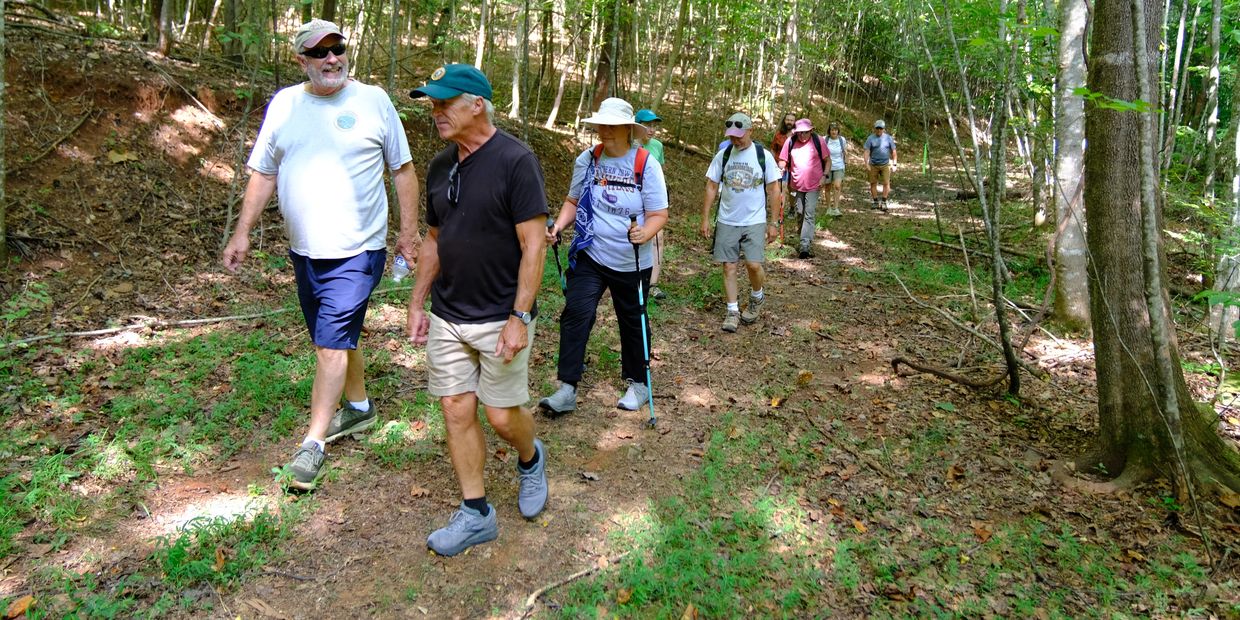 Group hiking through a wooded trail.