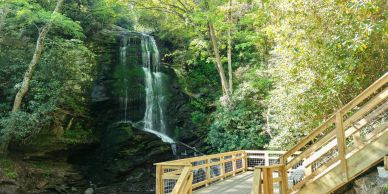 Waterfall surrounded by lush green trees and a wooden viewing platform.