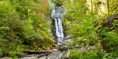 Waterfall flowing through a lush green forest.