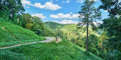 Scenic mountain path with greenery and blue sky.