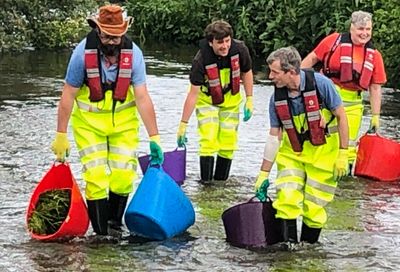 Op KINGFISHER 2 - replanting ranunculus on the River Avon near Salisbury.
