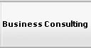 Business Consulting