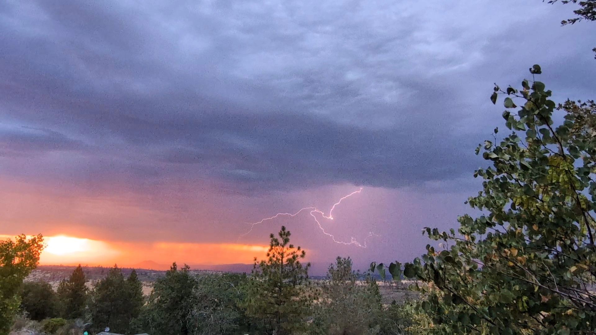 I always wanted to be high enough to watch the weather change. Welcome to the Goblin Market.