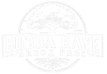 Bubba Raye Arbor Pros