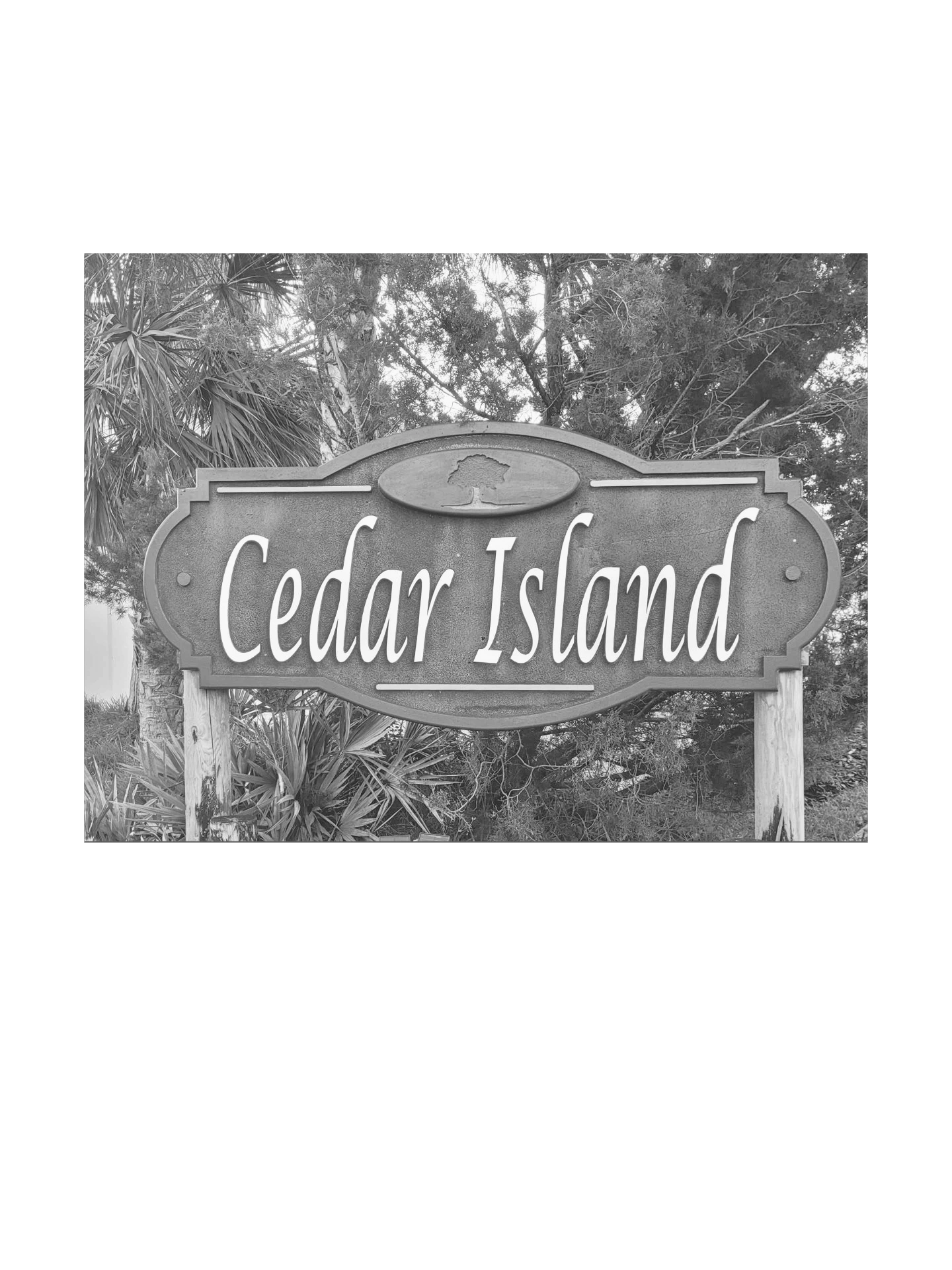 Cedar Island Homeowners Association of Flagler County, Inc.