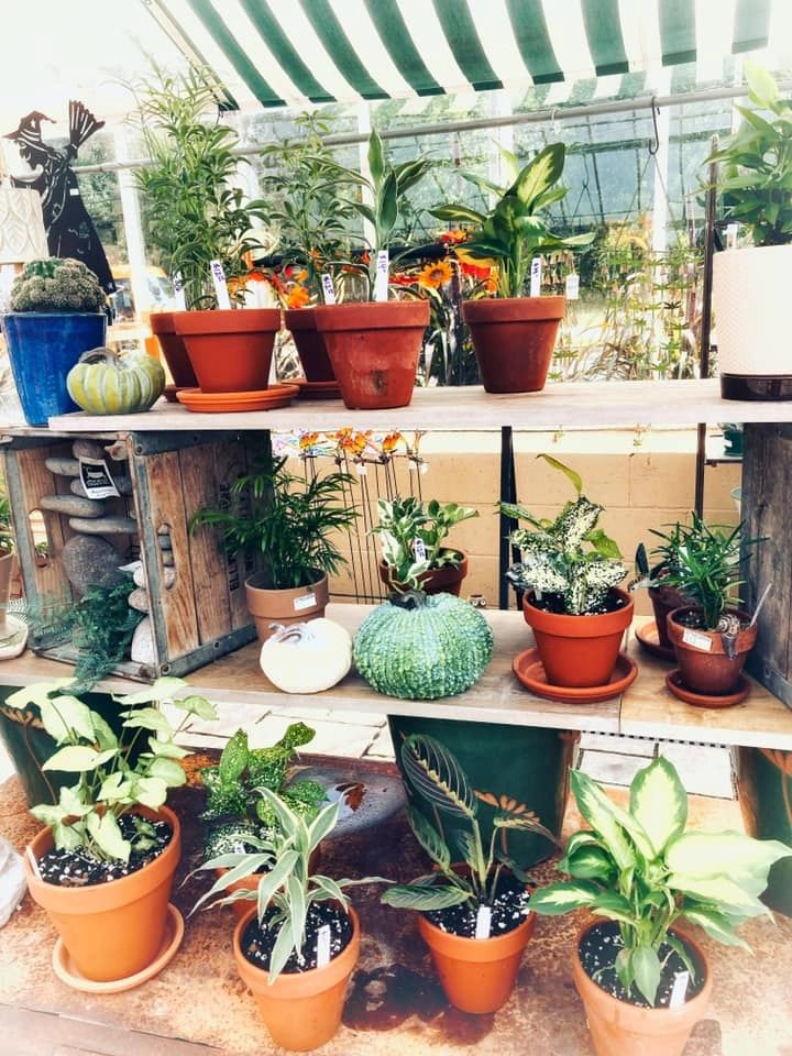 Cottage Gardens Cottage Gardens Hermitage, Pennsylvania Cottage Gardens