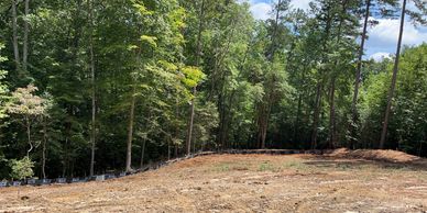 Cleared land area bordered by dense forest under a partly cloudy sky.