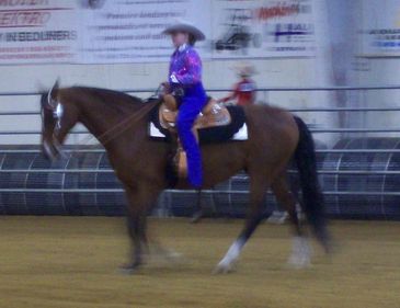 Rider in blue outfit on a horse inside an arena.