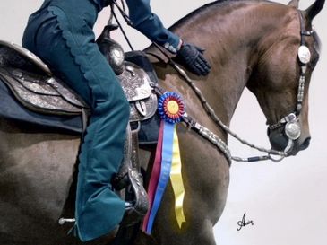 Person on a horse with a colorful award ribbon.