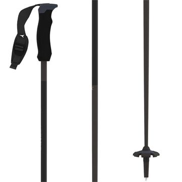 Atomic AMT ski poles