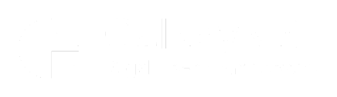 GalleryNet
