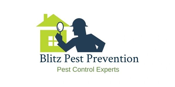 Blitz Pest Prevention, Pest Control Experts.