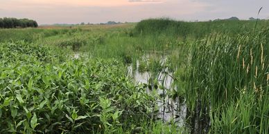 Wetlands Engineering South Dakota