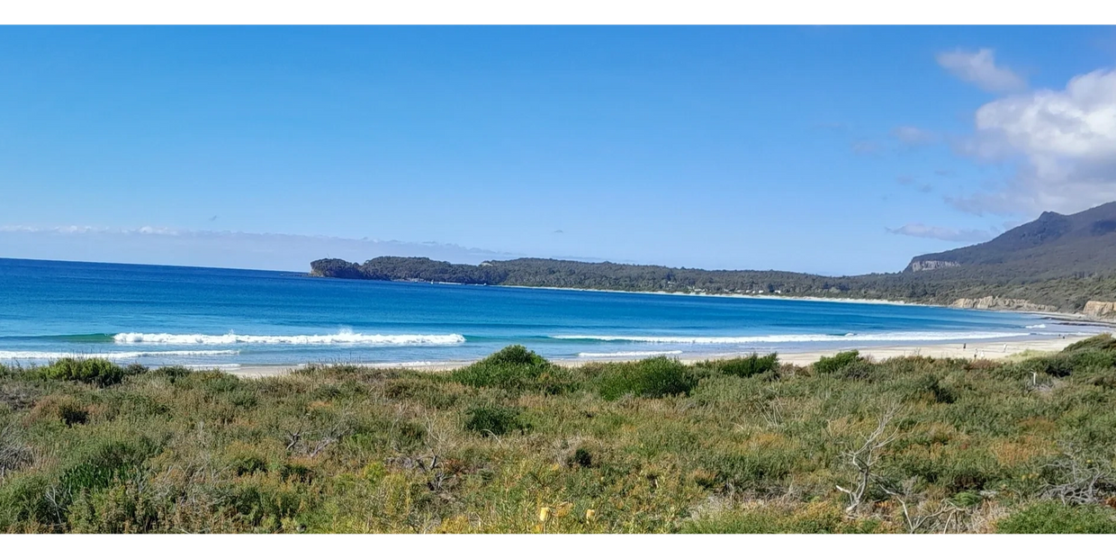 Pirates Bay