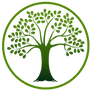 The moringa tree company