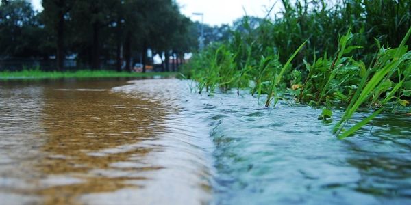 Storm water pollution prevention plans