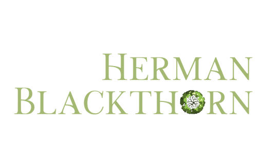 Herman Blackthorn