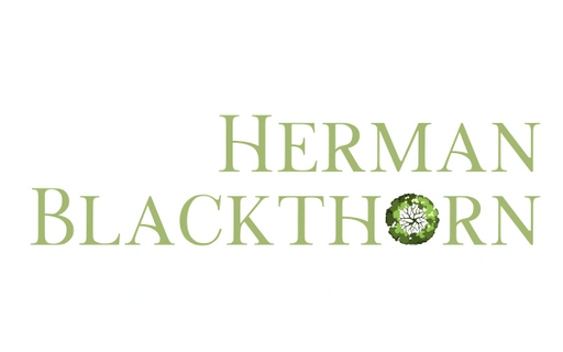 Herman Blackthorn