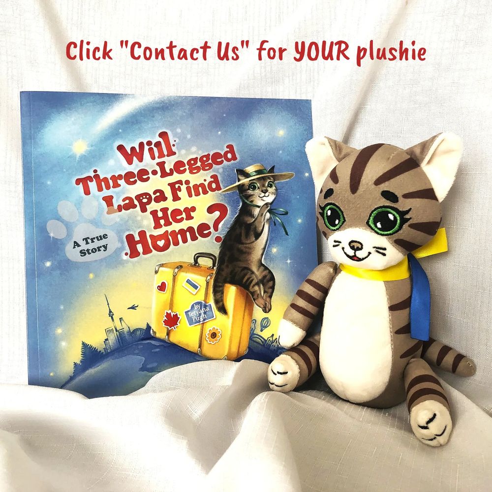 Children's book and matching plush cat for a heartwarming story and a story time companion.