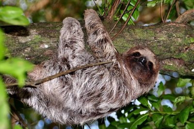 7 bedroom house for sale