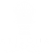 Arizona Boho Rentals