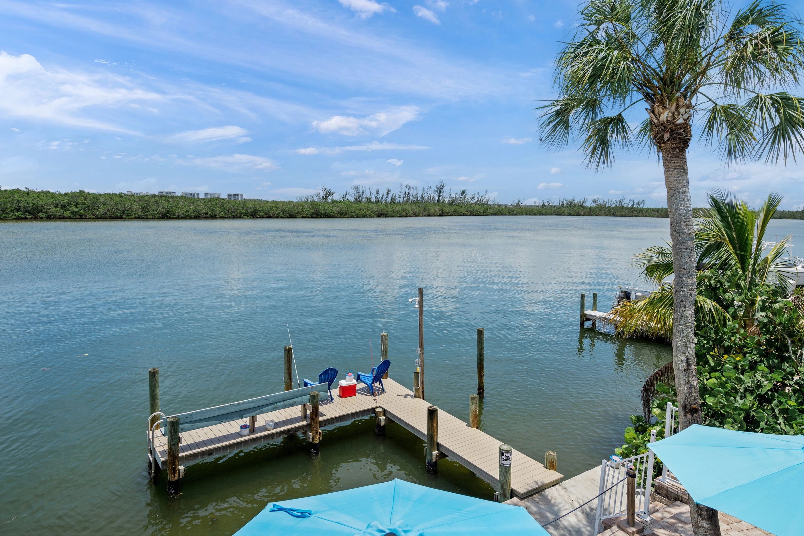 A dock on a body of water with a palm tree and blue sky in the background.