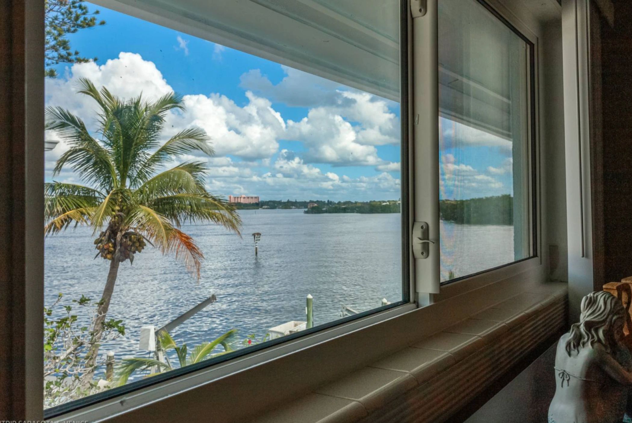 A view of a body of water with a palm tree and a blue sky with clouds, seen through a window.