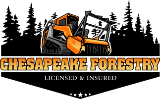 CHESAPEAKE FORESTRY