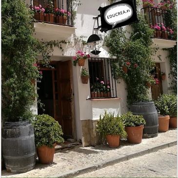 Fachada antigua con plantas y flores en macetas.