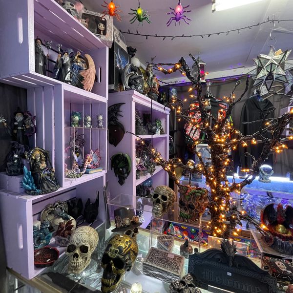 Enchanting display of gargoyles at a metaphysical shop.