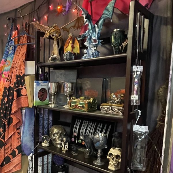 Enchanting display of dragons at a metaphysical shop.
