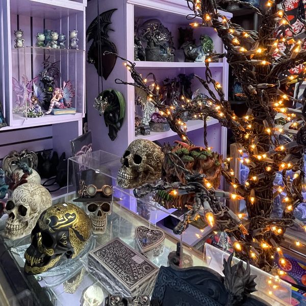 A curated selection of dragons reflecting holistic and magical themes.