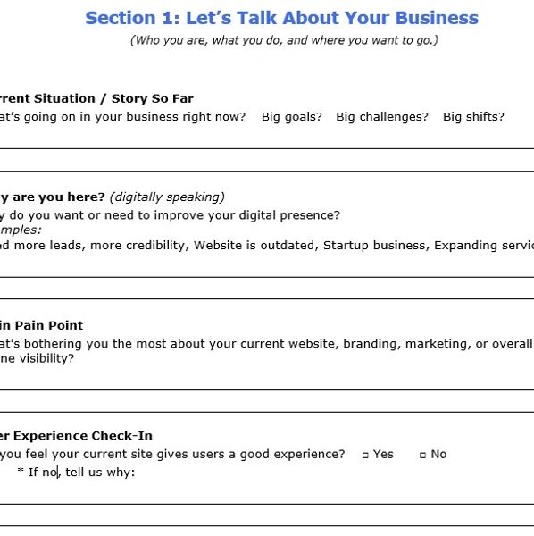 Business questionnaire section on current situation, digital presence, pain points, and user experience.