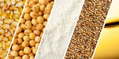 Various grains and seeds including corn, soybeans, flour, barley, and oil.