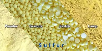Different forms of sulfur: powder, granule, pastile, and lump.